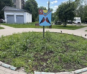 Клумба в Снегирях останется без цветов до конца июля