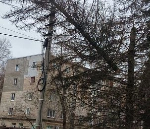 На улице Ударной в Дедовске дерево упало на провода