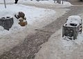 Гостей Истры у автовокзала встречают заваленные снегом мусорные урны