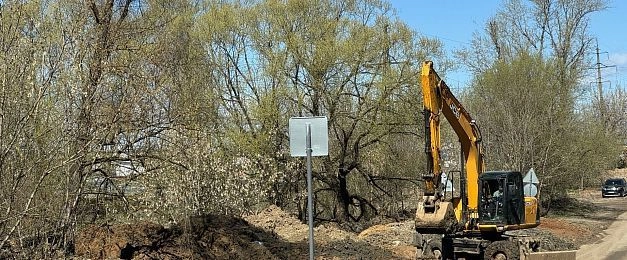 Деревьям в Дедовске  грозит гибель