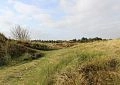 «Лужковские курганы» лишились охранного статуса 