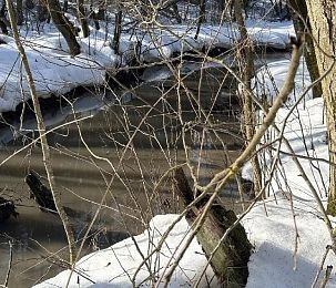 Ручей испортил воздух в лесопарке «Шишкин лес» 