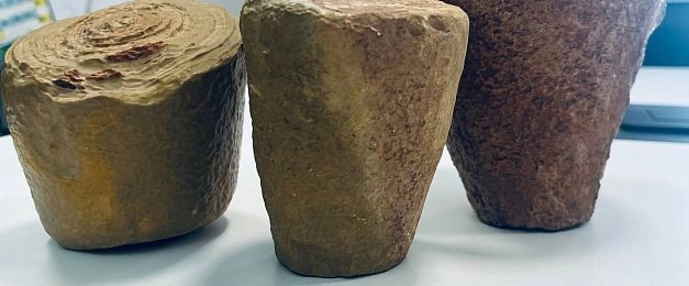 Музею истории мироздания в Дедовске подарили «живые камни» — строматолиты