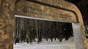 Парки округа закрыли из-за снегопада