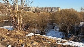 Экологическая ситуация у моста в Павловской Слободе вызывает беспокойство