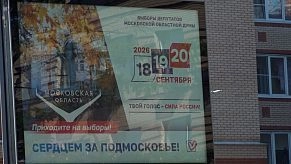 Опрос: «Кого выбираем, куда выбираем?»