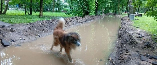 Замминистра, посетившего Истру, не пригласили на «водную прогулку» по тротуарам