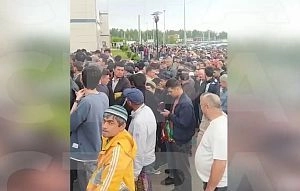 Из Истры выдворены более 1600 иностранных граждан 