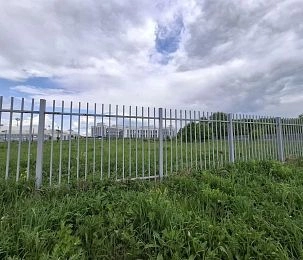 Сорняки захватили территорию рядом с новой больницей в Истре