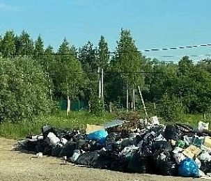 Пляж в Зеленково завалили мусором