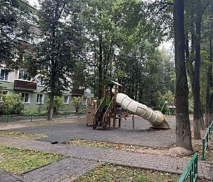 Замена детской площадки на улице Панфилова в Истре обернулась разочарованием