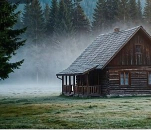 Мособллес проведёт операцию «Смежник–2026»