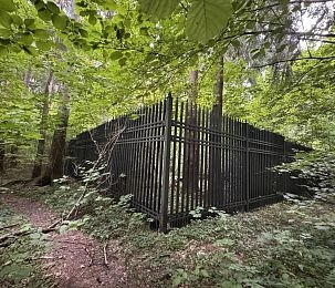 В Снегирях расследуют самозахват лесного участка