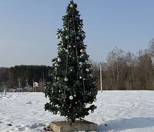 В Малой Истре продолжается Новый год