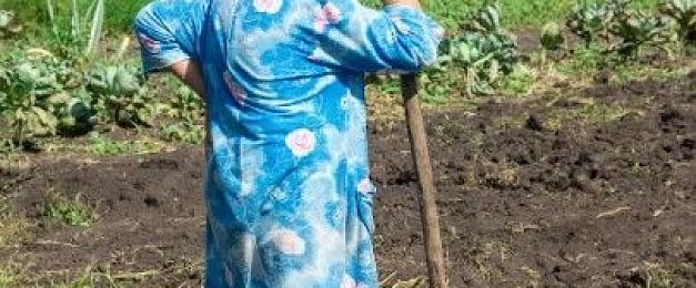 Частным подворьям без счётчиков воды начислят плату за полив по нормативу