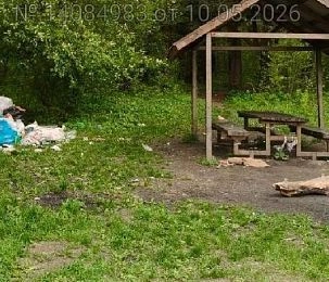 Зона отдыха у пруда в Дедовске превратилась в  помойку