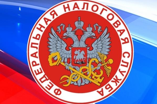 Услугами ФНС России можно воспользоваться на портале госуслуг         