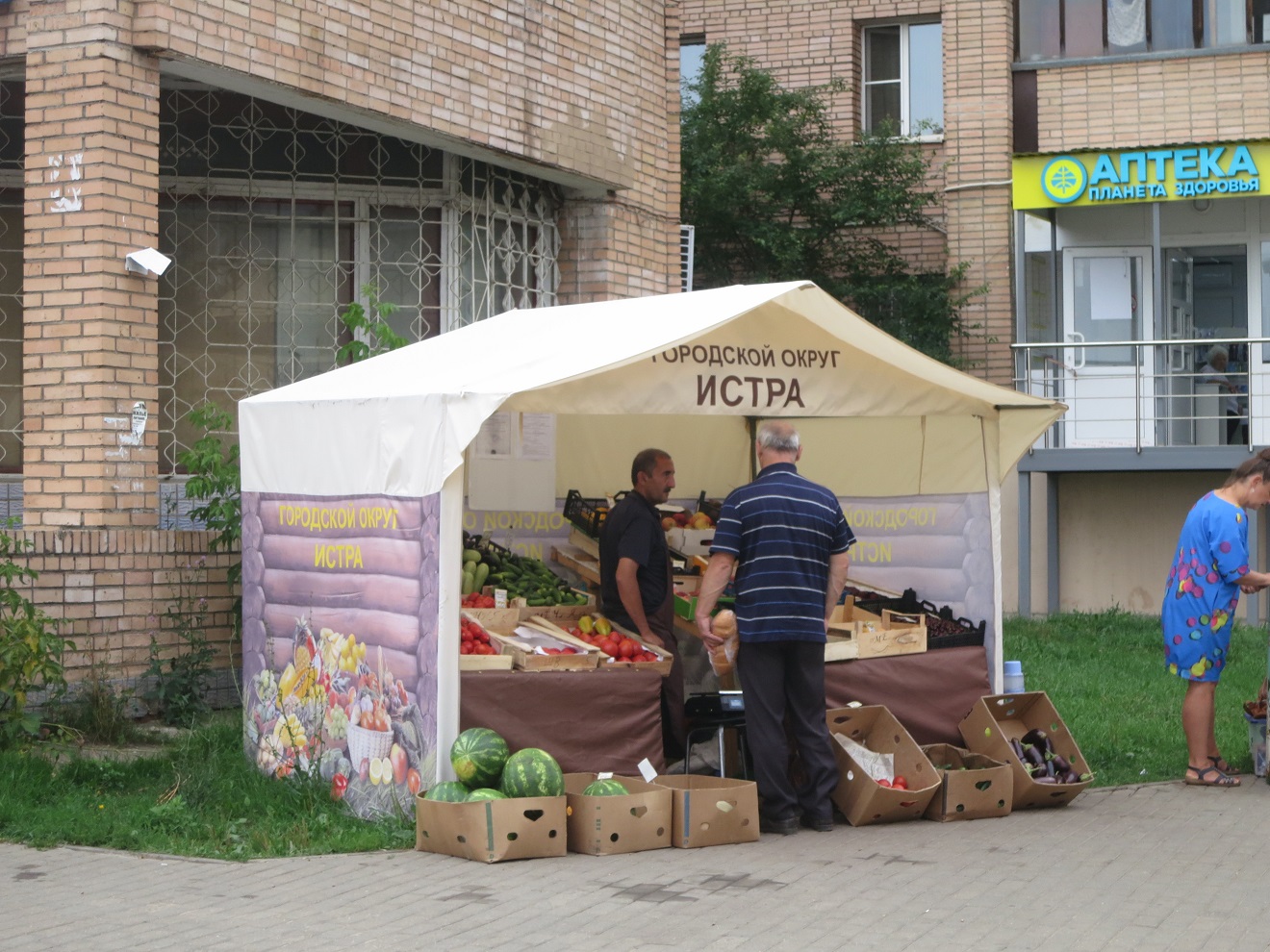 Оптовые овощные базы в дзержинске