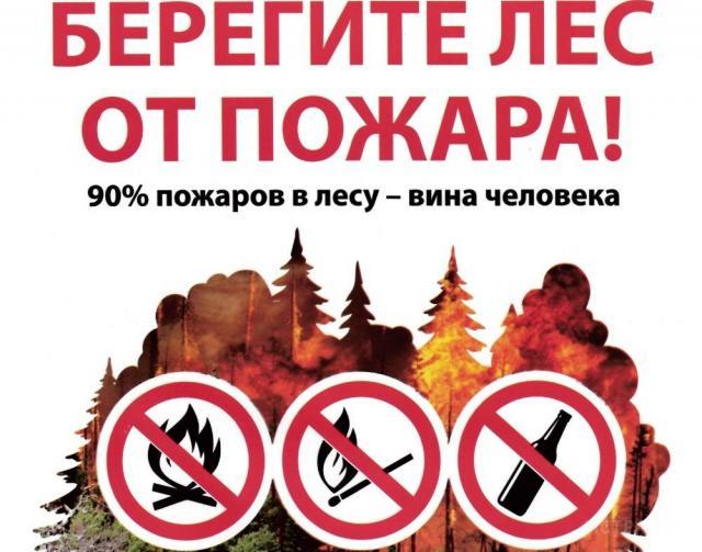 Берегите лес от пожара!
