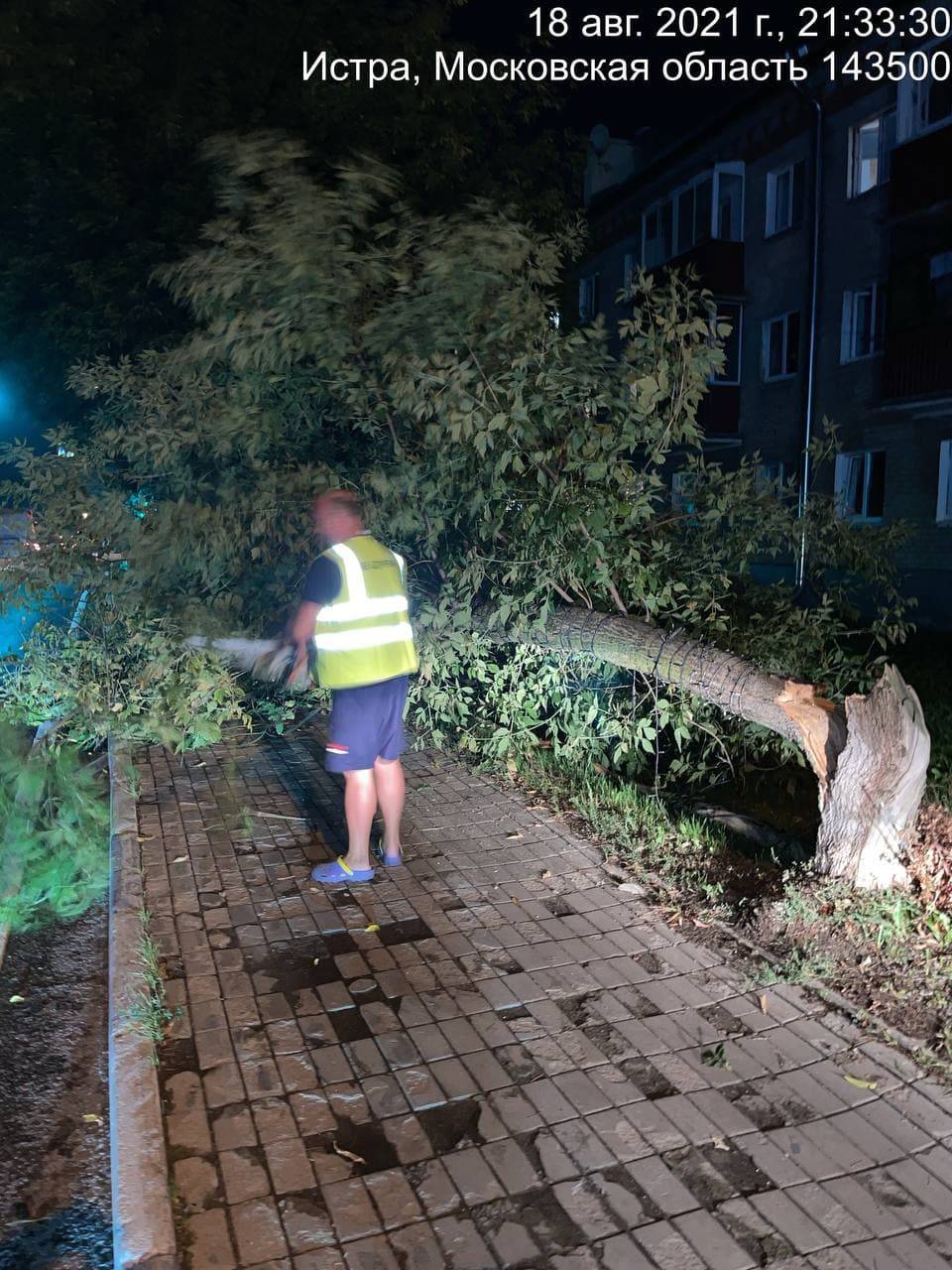 Штормовым ветром повалено 148 деревьев, пострадали 19 автомобилей