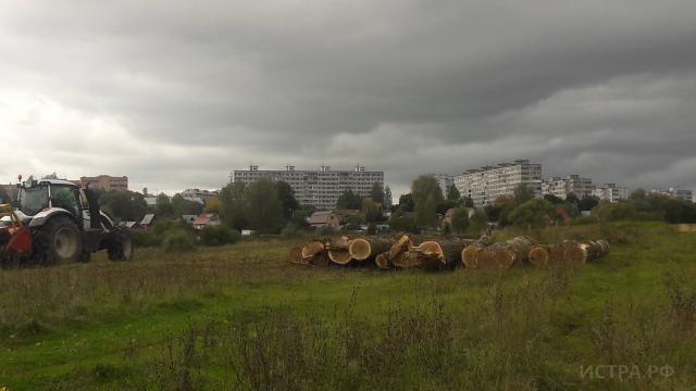 Вблизи посёлка Глебовского спилили вековые тополя