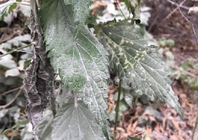 Фото Железнодорожной Улице