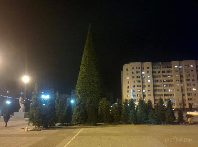 Больше Новогодних