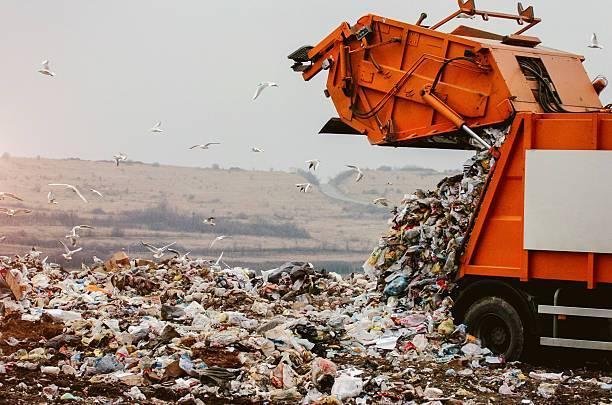 В Истре во время проведения контрольного рейда обнаружили нелегальный сброс мусора