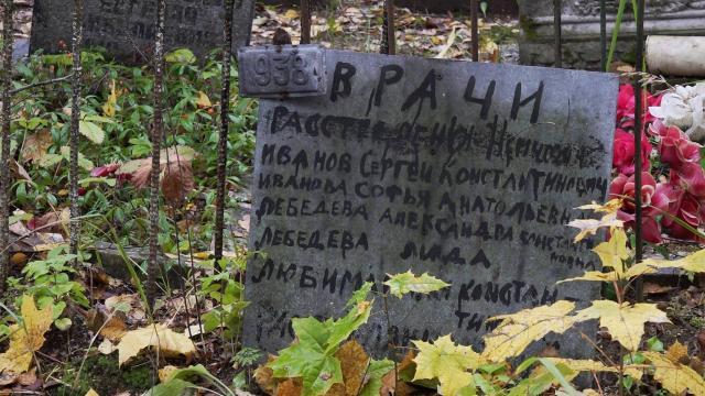 На Истринском кладбище нашли захоронение врачей, расстрелянных в 1941 году